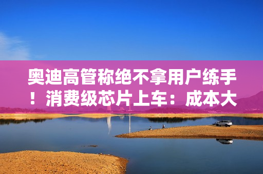 奥迪高管称绝不拿用户练手！消费级芯片上车：成本大降 无强制安全认证要求