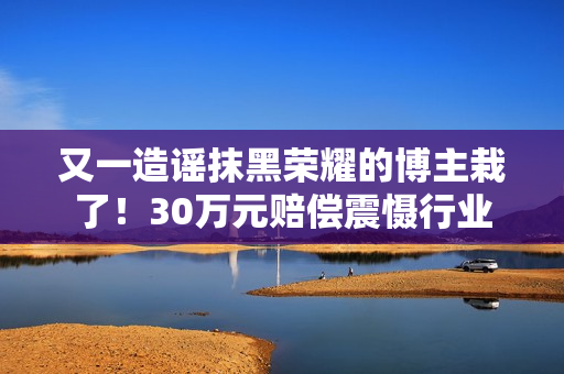又一造谣抹黑荣耀的博主栽了！30万元赔偿震慑行业
