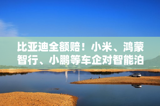 比亚迪全额赔！小米、鸿蒙智行、小鹏等车企对智能泊车事故处理一览：差距大