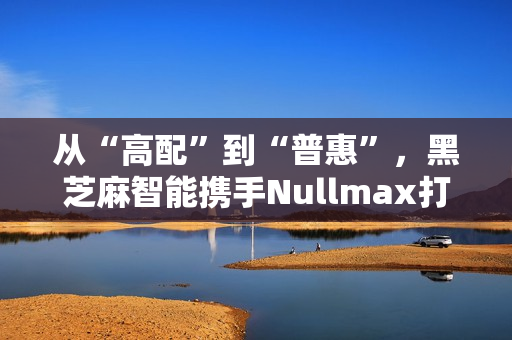 从“高配”到“普惠”，黑芝麻智能携手Nullmax打造辅助驾驶主流量产方案