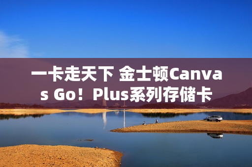 一卡走天下 金士顿Canvas Go！Plus系列存储卡