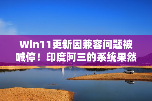 Win11更新因兼容问题被喊停！印度阿三的系统果然不行