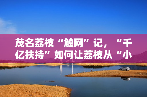 茂名荔枝“触网”记，“千亿扶持”如何让荔枝从“小特产”到“大生意”