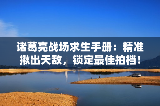 诸葛亮战场求生手册：精准揪出天敌，锁定最佳拍档！