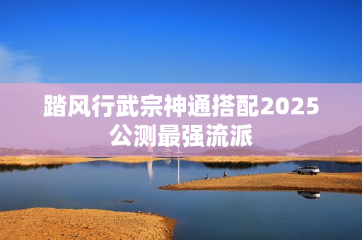 踏风行武宗神通搭配2025公测最强流派 踏风行武宗神通搭配2025公测最强流派