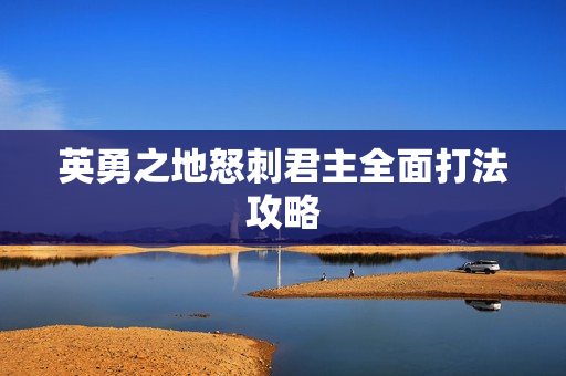 英勇之地怒刺君主全面打法攻略