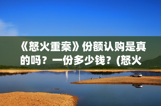 《怒火重案》份额认购是真的吗？一份多少钱？(怒火重案全剧情)