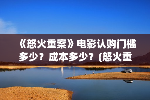 《怒火重案》电影认购门槛多少？成本多少？(怒火重案 完整版)