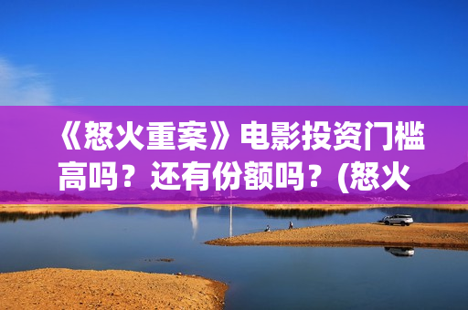 《怒火重案》电影投资门槛高吗？还有份额吗？(怒火重案国语正片)