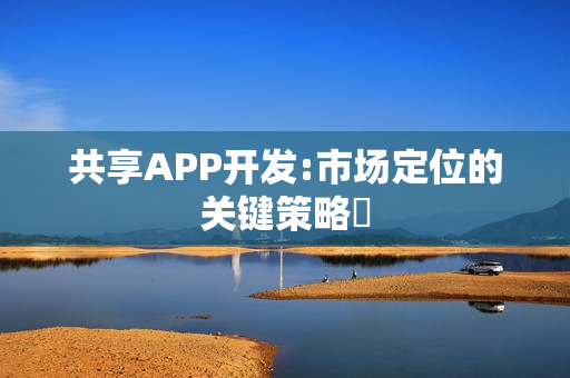共享APP开发:市场定位的关键策略‌