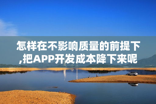 怎样在不影响质量的前提下,把APP开发成本降下来呢? 怎样在不影响质量的前提下,把APP开发成本降下来呢?