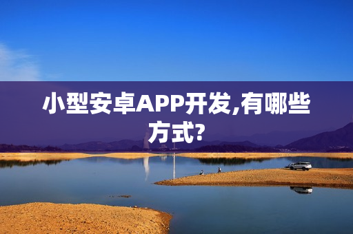 小型安卓APP开发,有哪些方式? 小型安卓APP开发,有哪些方式?