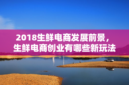 2018生鲜电商发展前景， 生鲜电商创业有哪些新玩法