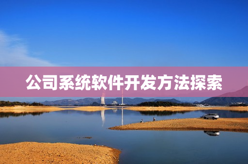 公司系统软件开发方法探索