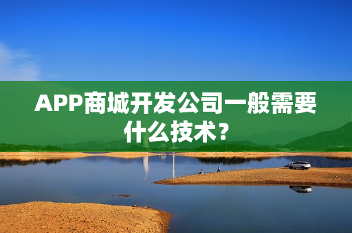 APP商城开发公司一般需要什么技术？