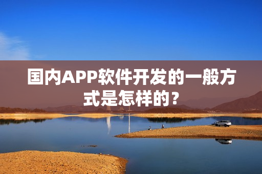 国内APP软件开发的一般方式是怎样的？