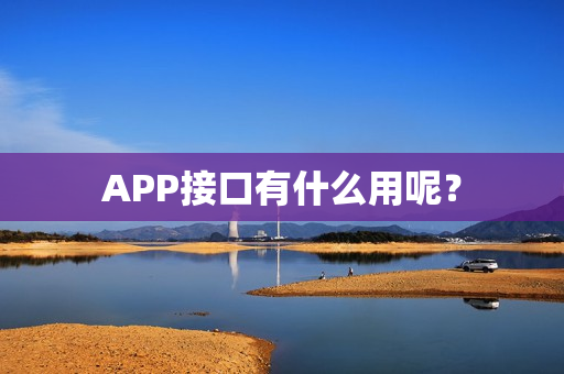APP接口有什么用呢？