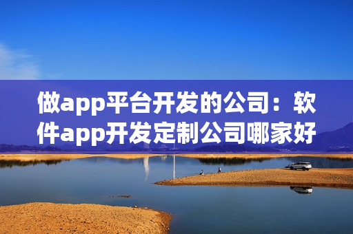 做app平台开发的公司：软件app开发定制公司哪家好？