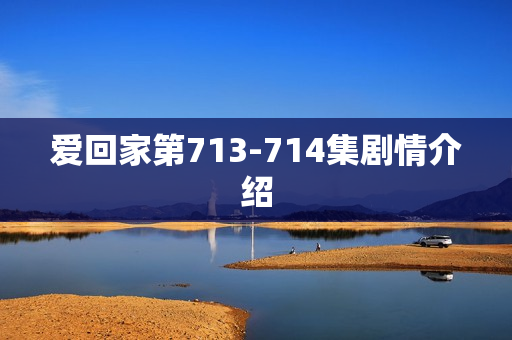 爱回家第713-714集剧情介绍