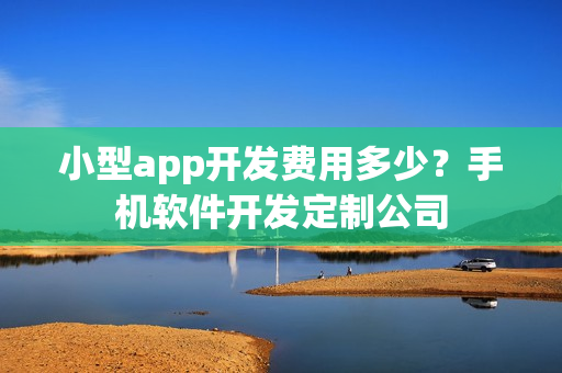 小型app开发费用多少？手机软件开发定制公司