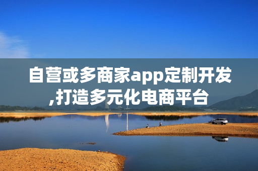 自营或多商家app定制开发,打造多元化电商平台