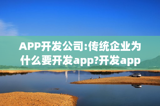 APP开发公司:传统企业为什么要开发app?开发app注意事项