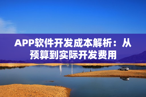 APP软件开发成本解析：从预算到实际开发费用