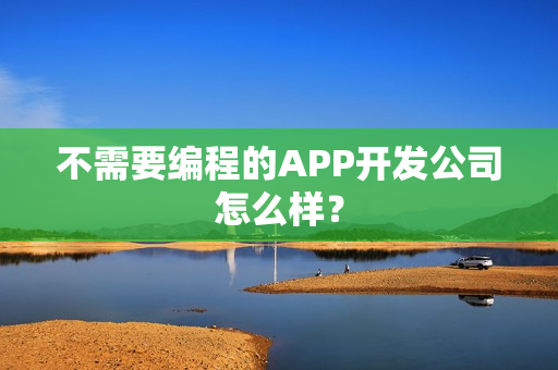 不需要编程的APP开发公司怎么样？