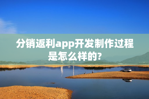 分销返利app开发制作过程是怎么样的?