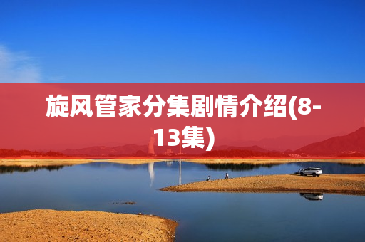 旋风管家分集剧情介绍(8-13集)