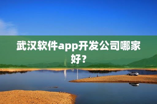 武汉软件app开发公司哪家好？