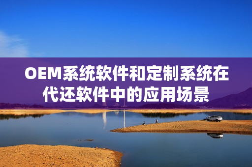 OEM系统软件和定制系统在代还软件中的应用场景