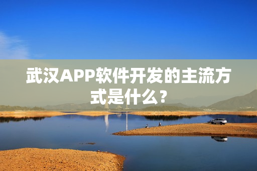 武汉APP软件开发的主流方式是什么？