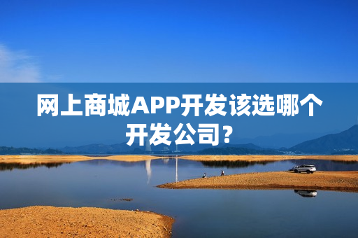 网上商城APP开发该选哪个开发公司? 网上商城APP开发该选哪个开发公司?