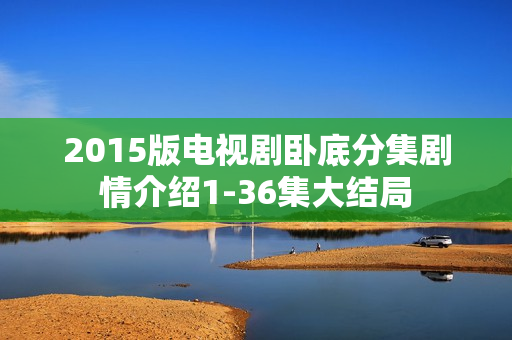 2015版电视剧卧底分集剧情介绍1-36集大结局