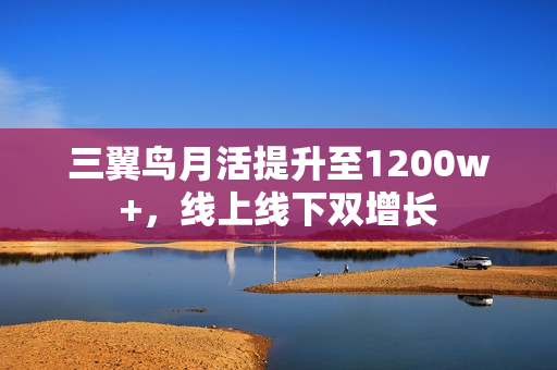 三翼鸟月活提升至1200w+，线上线下双增长