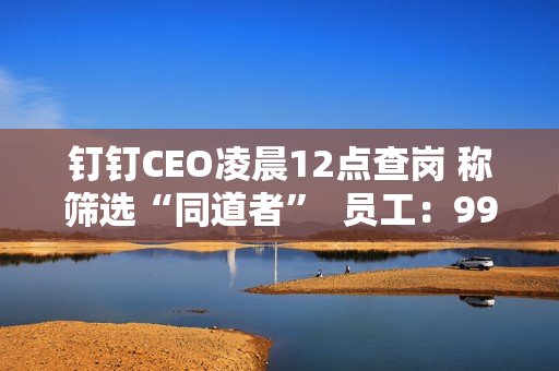 钉钉CEO凌晨12点查岗 称筛选“同道者”  员工：99%的人离职都是因为他