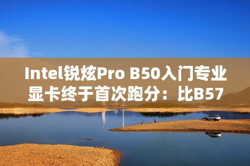 Intel锐炫Pro B50入门专业显卡终于首次跑分：比B570慢了约20%