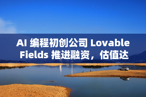 AI 编程初创公司 Lovable Fields 推进融资，估值达 40 亿美元