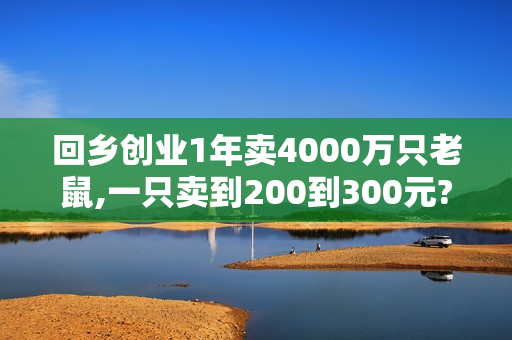 回乡创业1年卖4000万只老鼠,一只卖到200到300元? 回乡创业1年卖4000万只老鼠,一只卖到200到300元?