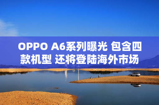 OPPO A6系列曝光 包含四款机型 还将登陆海外市场