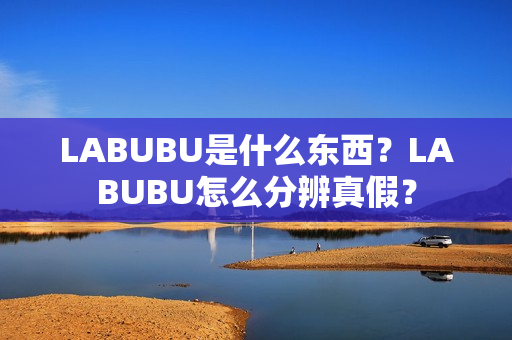 LABUBU是什么东西？LABUBU怎么分辨真假？