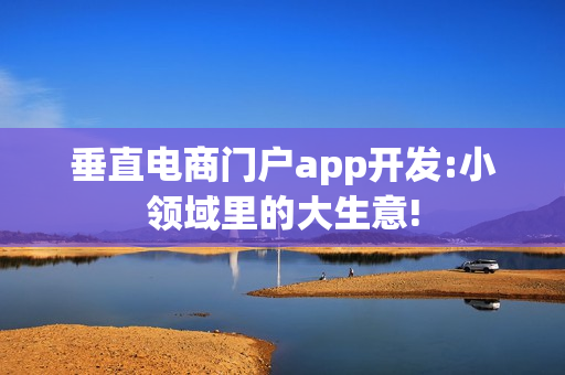 垂直电商门户app开发:小领域里的大生意!