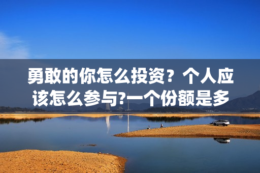 勇敢的你怎么投资？个人应该怎么参与?一个份额是多少?(勇敢的你怎么投资)
