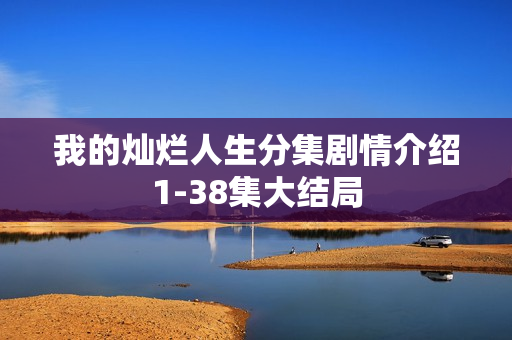 我的灿烂人生分集剧情介绍1-38集大结局