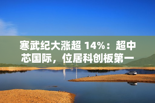 寒武纪大涨超 14%：超中芯国际，位居科创板第一