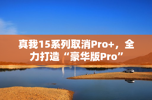 真我15系列取消Pro+，全力打造“豪华版Pro”
