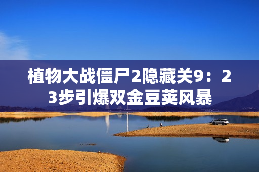 植物大战僵尸2隐藏关9：23步引爆双金豆荚风暴