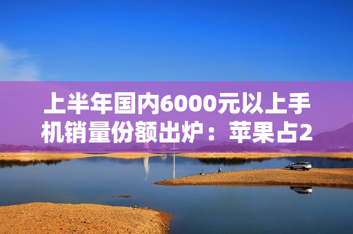 上半年国内6000元以上手机销量份额出炉：苹果占2/3