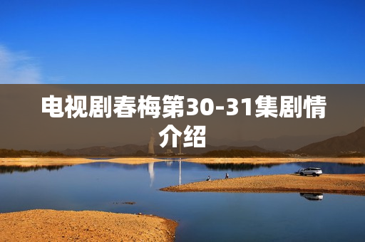 电视剧春梅第30-31集剧情介绍